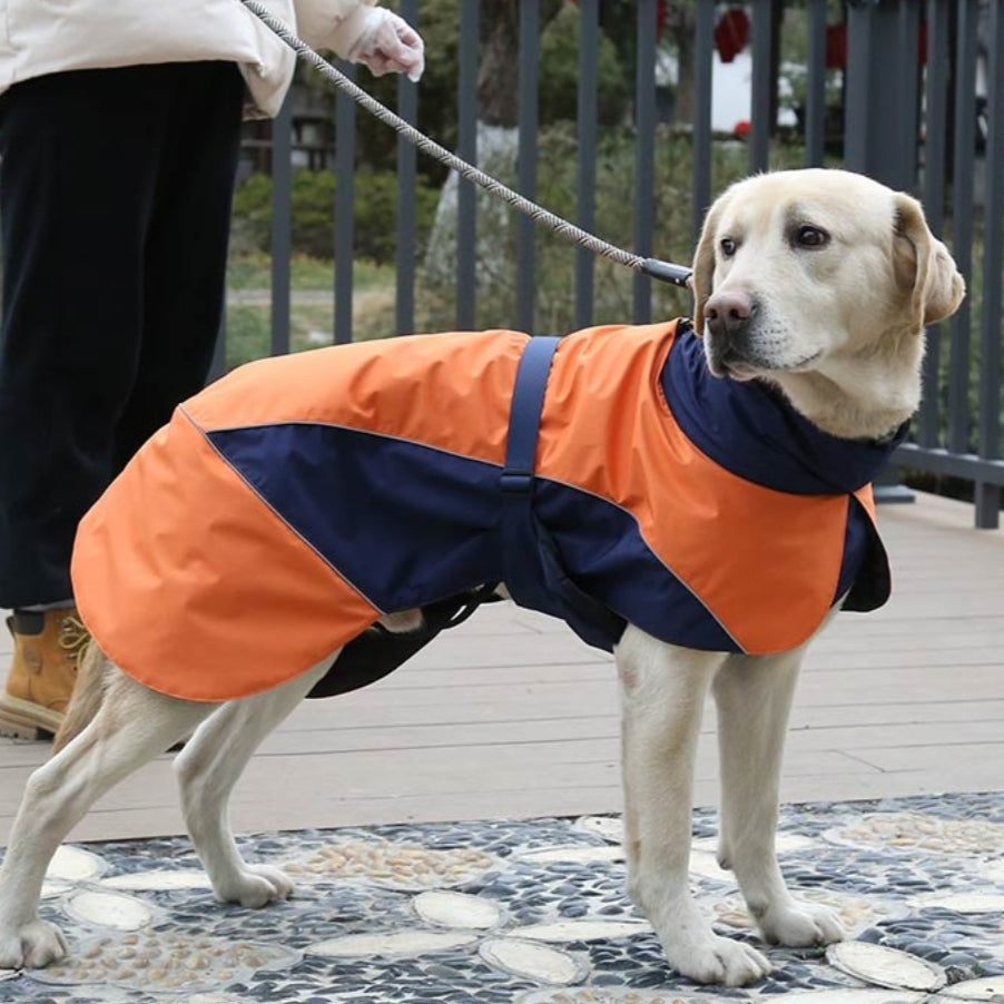 Tekninen koiran takki ompelukaava